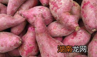 红薯怎么保存才不会烂 红薯不烂保存方法详解