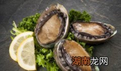 小鲍鱼的做法 蚝汁小鲍鱼的做法