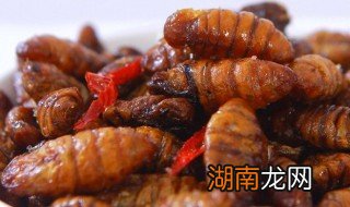 茧蛹子能冷冻吗 茧蛹子能冷冻吗活的茧蛹能冷冻吗