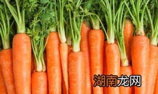 怎么做胡萝卜小饼