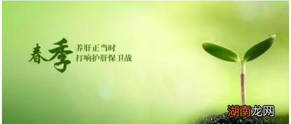 春天吃什么好