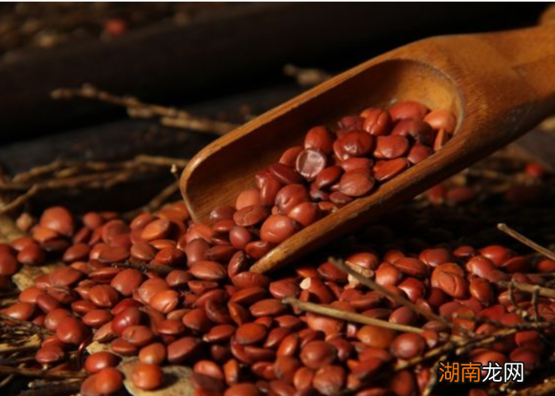 酸枣仁的功效与作用及食用方法