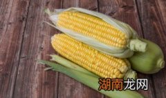 什么是玉米粉? 玉米粉的解释