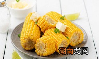 玉米属于什么类食物 玉米属于什么类