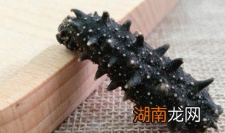 海参为什么成为中国传统名菜 家常海参是哪个地方的菜系