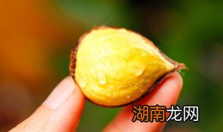 怎么储存剥好的栗子 怎样保存剥好的板栗