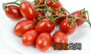 圣女果要怎么挑选 圣女果要怎么挑选才好吃