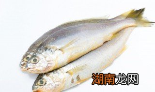 小黄鱼怎么烧好吃 很小的小黄鱼怎么烧好吃