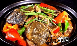 鳖怎样做好吃 鳖咋做好吃视频教程