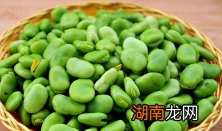 蚕豆的功效与作用禁忌 蚕豆的功效与作用
