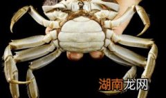 河蟹需要煮多久才可以煮熟 河蟹几分钟能煮熟