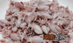 衸嫌阕械淖龇ù笕鱿鱼仔如何?