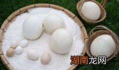 鸵鸟蛋怎么吃
