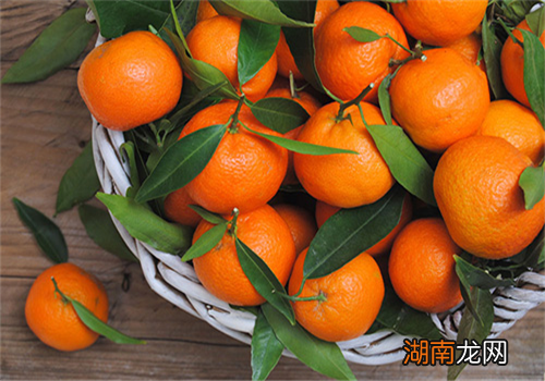 富含维生素B的食物