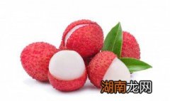 荔枝泡酒用新鲜的还是干的好 荔枝泡酒用新鲜的吗