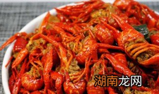 红烧龙虾尾的家常做法窍门 红烧龙虾尾的家常做法