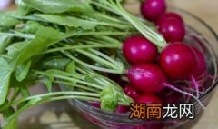 水萝卜叶子怎么做好吃 水萝卜叶子好吃的做法