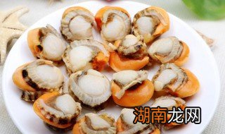 冷冻扇贝肉怎么处理干净视频 冷冻扇贝肉怎么处理