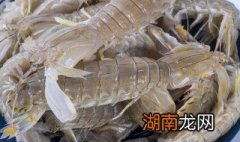 清蒸虾爬子的做法和步骤窍门 清蒸虾爬子的做法