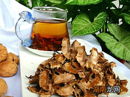 分心木泡水喝的禁忌有哪些