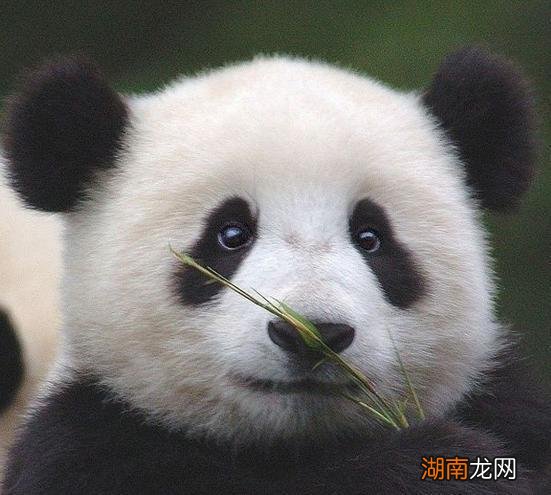 黑眼圈很重怎么办？六种去黑眼圈最有效的方法