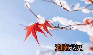 立冬吃水饺吗 立冬会不会吃水饺