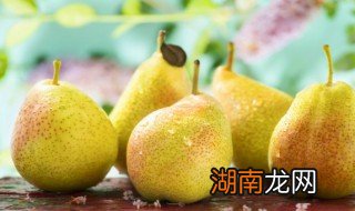 秋梨膏的制作方法 秋梨膏的做法