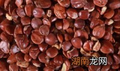 酸枣仁怎样吃治失眠最有效 酸枣仁治失眠方法介绍