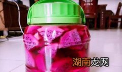 火龙果酒的制作方法 火龙果酒怎么制作