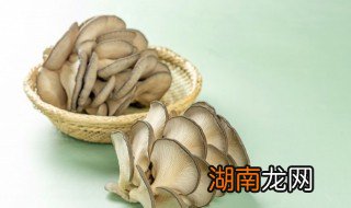 清炒平菇的家常做法 平菇的家常做法