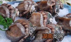 鲍鱼的清洗方法图解 鲍鱼的清洗方法