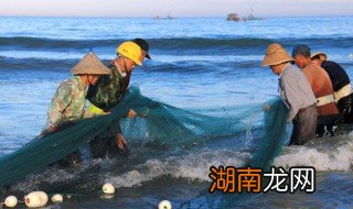 清炖鲅鱼最正宗的做法 清炖鲅鱼的做法 最正宗的做法