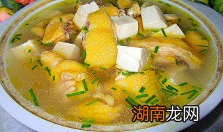 清炖鸡块和豆腐怎么做