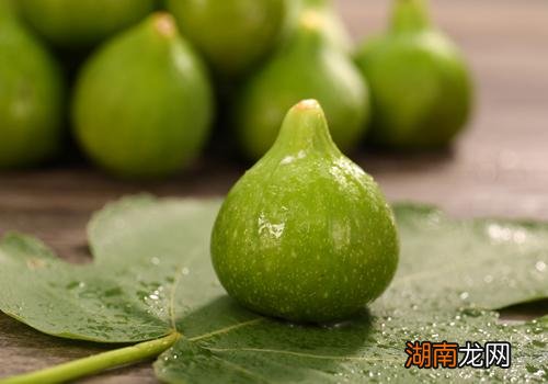 血糖高能不能吃无花果 无花果怎么保存时间长
