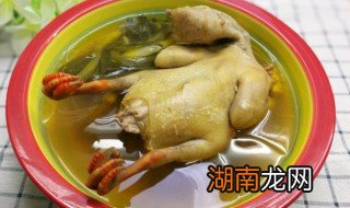 清蒸鸽子怎么蒸才好吃 清蒸鸽子怎么蒸才好吃家常做法