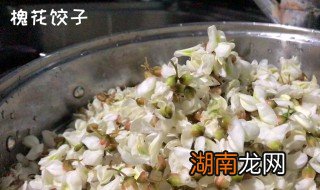 槐花怎么做饺子 用槐花包饺子的方法