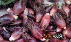 洋火姜怎么做好吃视频 洋火姜怎么做好吃