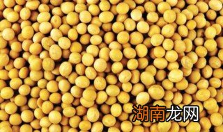 黄豆怎么吃 黄豆怎么吃好