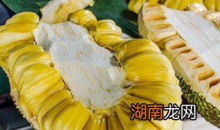 酸奶菠萝蜜的制作方法窍门 酸奶菠萝蜜的制作方法