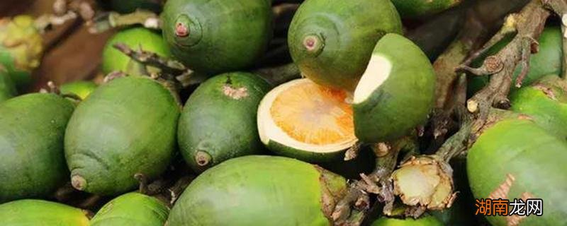 女生可以吃槟榔吗 女生吃槟榔会影响月经吗