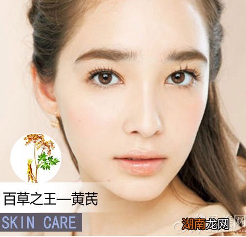 草本正当道让你逆袭的青春秘笈成分