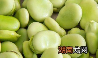 兰花豆和蚕豆的区别 关于兰花豆和蚕豆区别