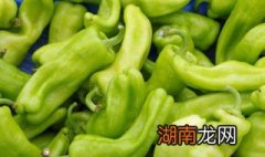 青椒炒杏鲍菇的做法 青椒炒杏鲍菇的制作方法