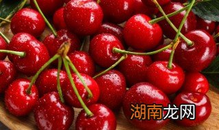 樱桃的种植方法和技巧 樱桃种植方法