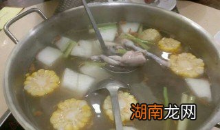 冬瓜滚鸡肉汤的做法 冬瓜滚田鸡汤怎么做