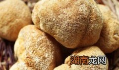 干猴头菇的家常做法炒菜 干猴头菇如何做菜