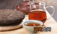 单枞茶宋种喝后感 单枞茶宋种