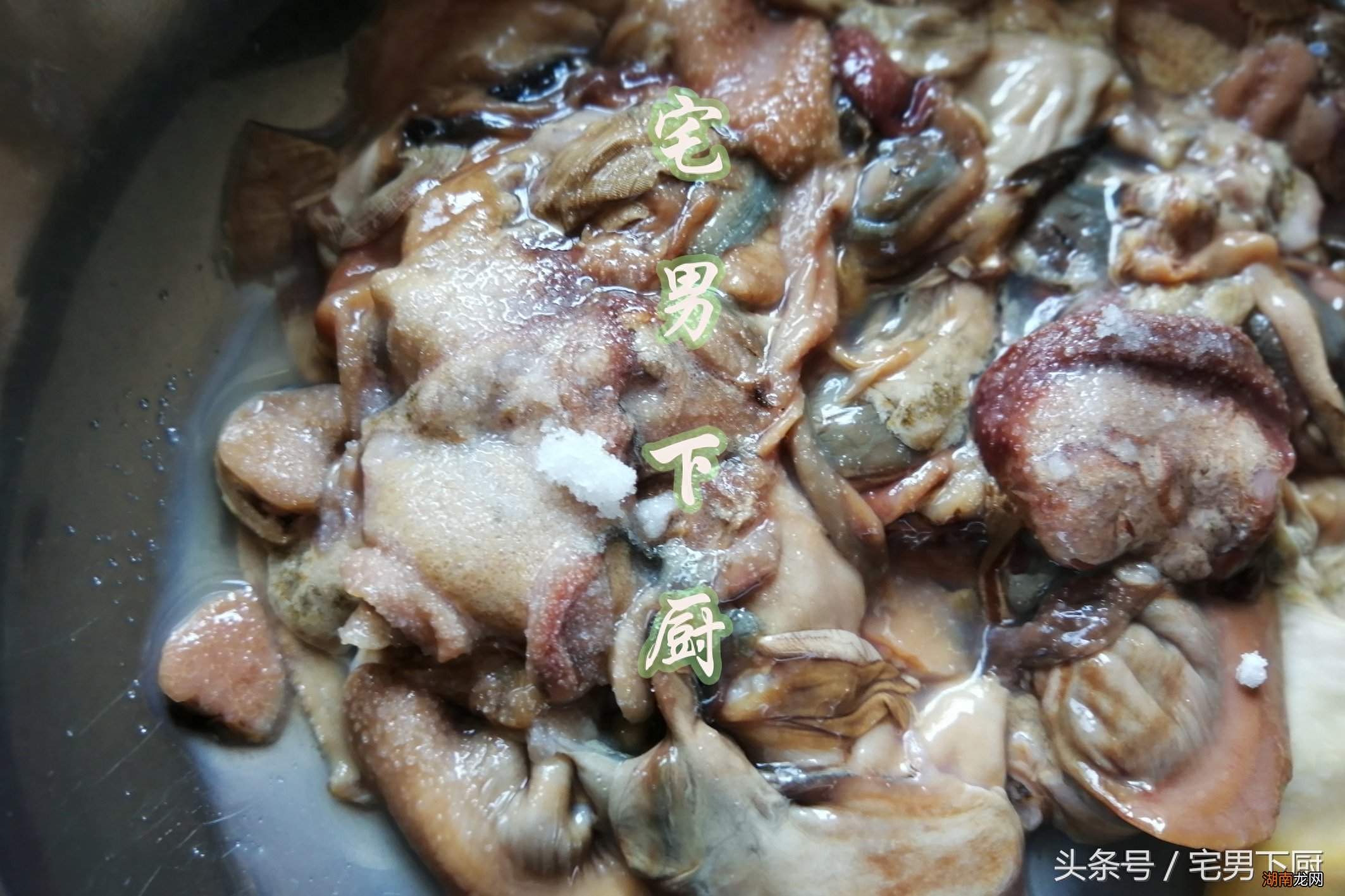 河蚌可食用的部分图片 河蚌哪些部位不能吃图解