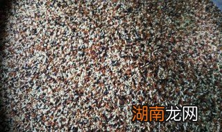 五色糙米都有什么米 五色糙米都有哪些米