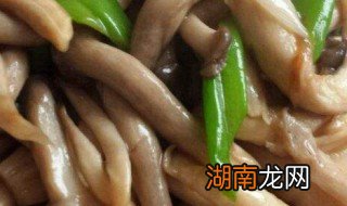 烧蘑菇的制作方法 怎么做烧蘑菇